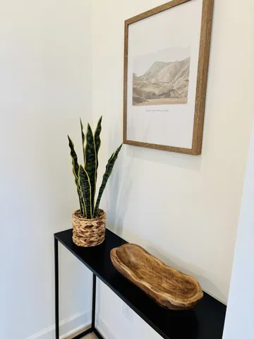 a view of a small room with wooden floor and a potted plant