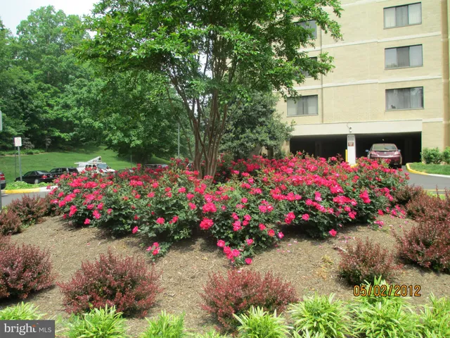 $485,000 | 203 Yoakum Parkway, Unit 1512, Alexandria, VA 22304