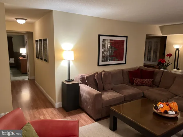 a room with furniture wooden floor and a rug