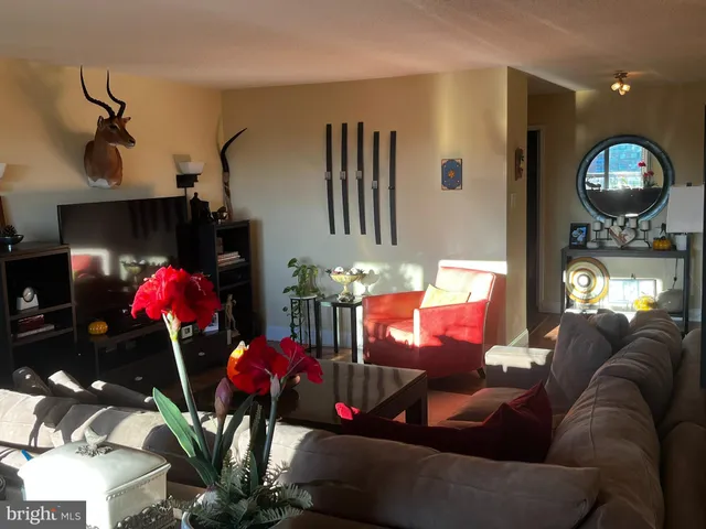 a living room with furniture and a couch