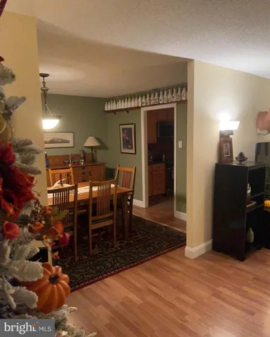 a view of a garden with a trees