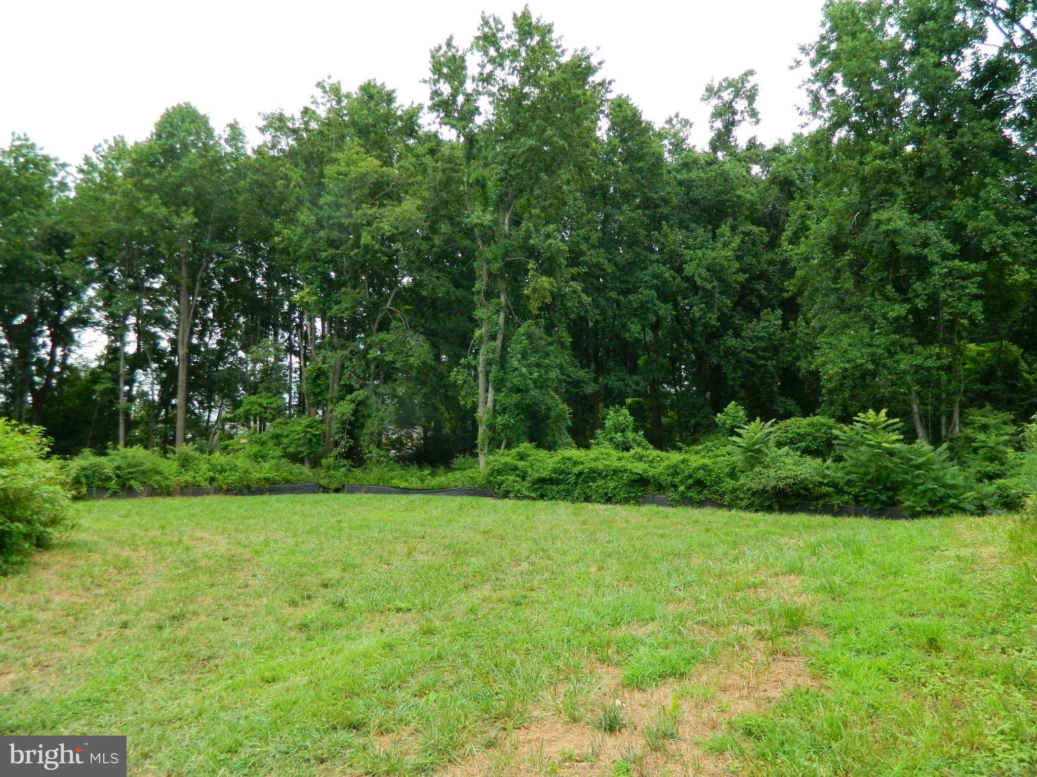 2991 Solomons Island Road Edgewater, MD 21037 - Photo 1 of 5 a view of a grassy field with trees in the background