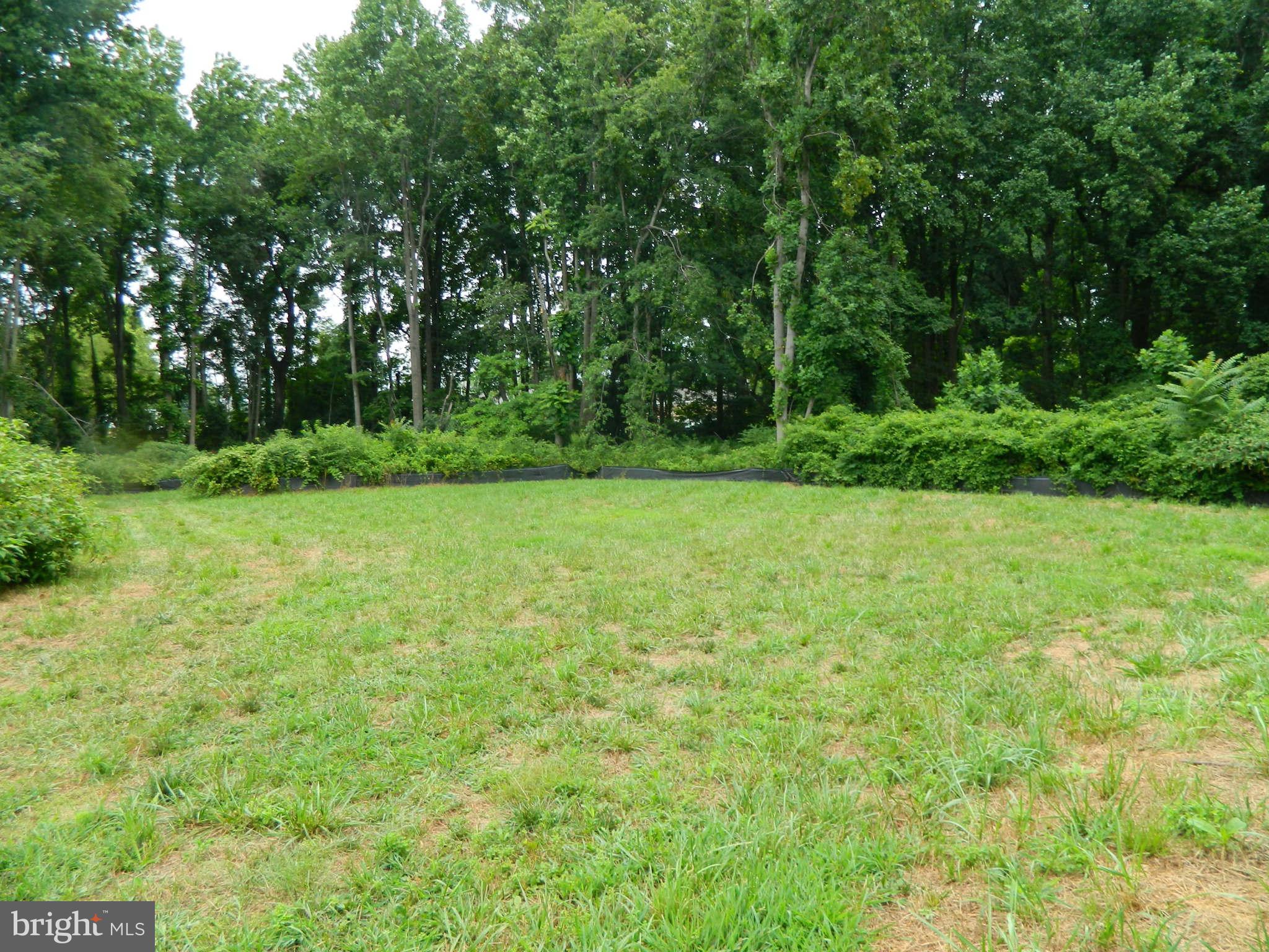 2991 Solomons Island Road Edgewater, MD 21037 - Photo 2 of 5 a view of a green field with trees in the background
