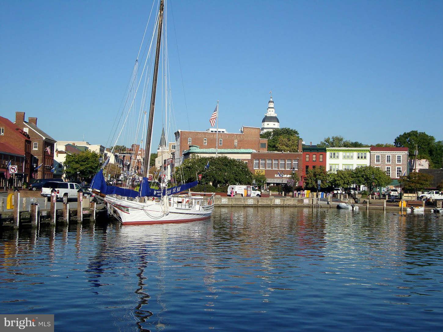 2991 Solomons Island Road Edgewater, MD 21037 - Photo 5 of 5 a view of a lake with boats and palm trees