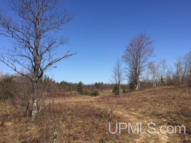 Tbd Tbd Off Co Road Ishpeming, MI 49849 - Photo 16 of 17