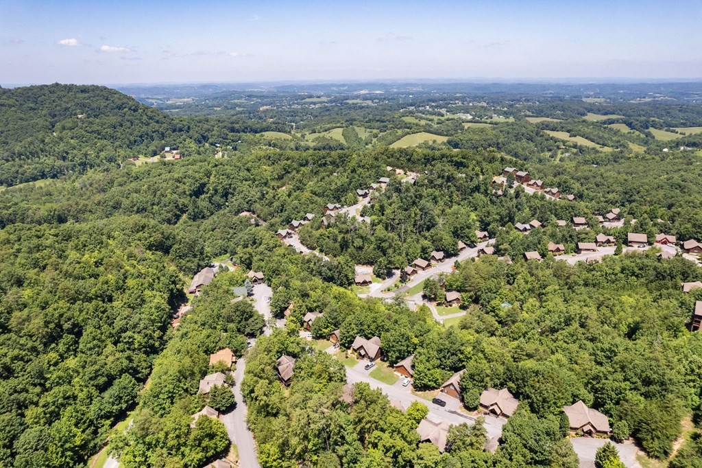 1652 Raccoon Den Way, Unit SERENITY Sevierville, TN 37862 - Photo 44 of 47 Gallery Image 44