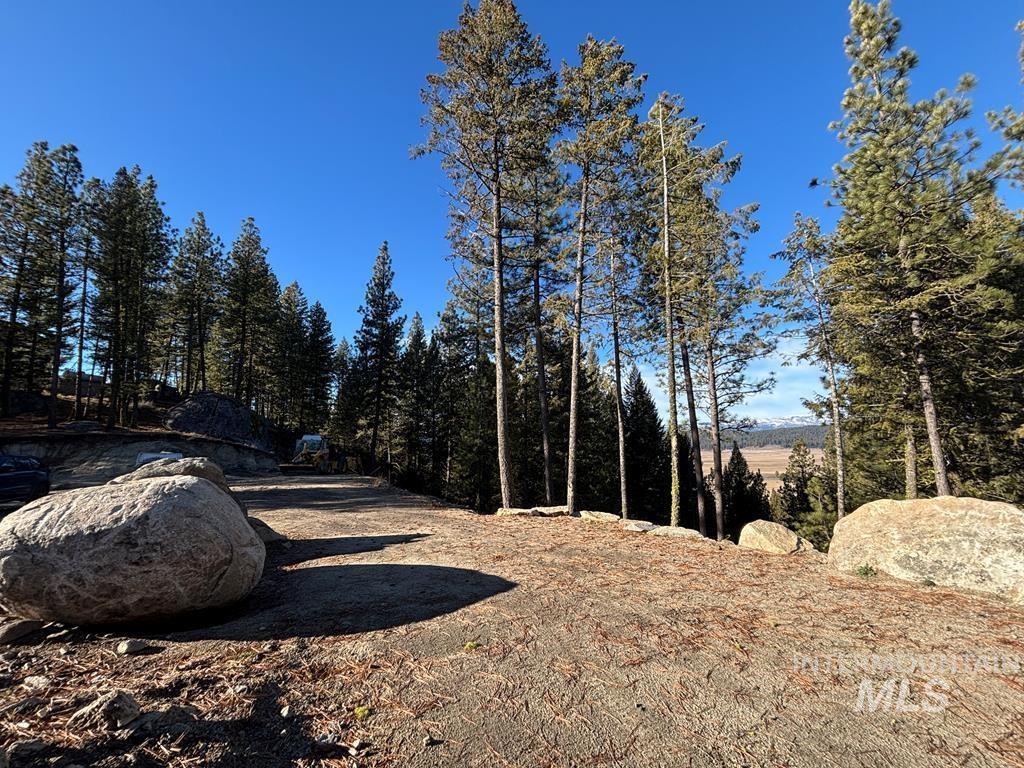 28 Sarah Way Cascade, ID 83611 - Photo 1 of 18 View of yard