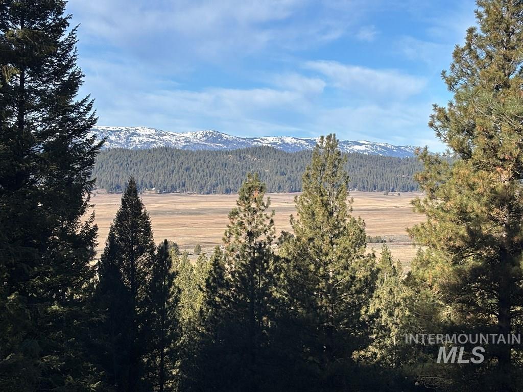 28 Sarah Way Cascade, ID 83611 - Photo 3 of 18 View of mountain backdrop featuring a forest