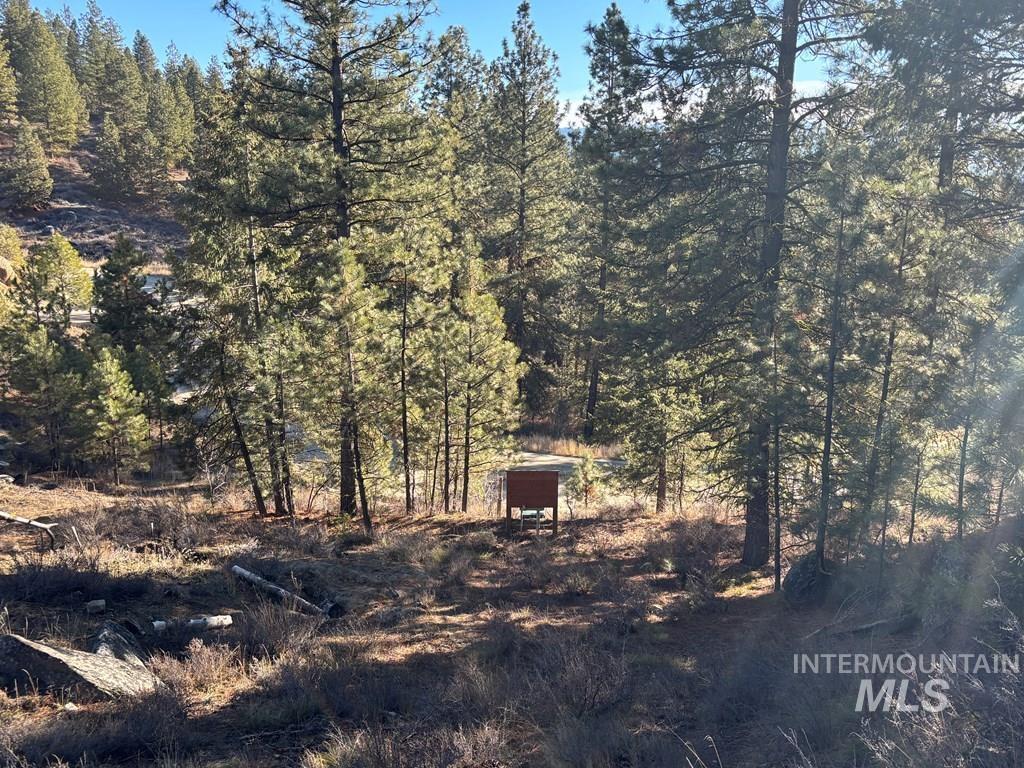 28 Sarah Way Cascade, ID 83611 - Photo 6 of 18 View of undeveloped land