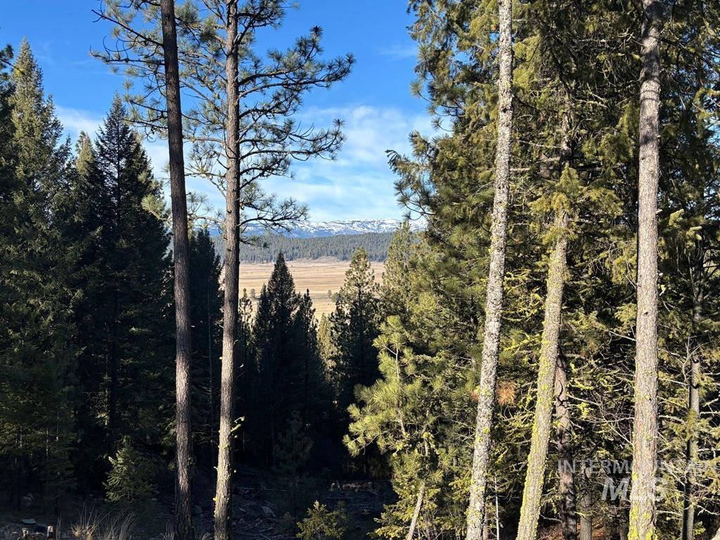 28 Sarah Way Cascade, ID 83611 - Photo 8 of 18 View of mountain backdrop with a forest