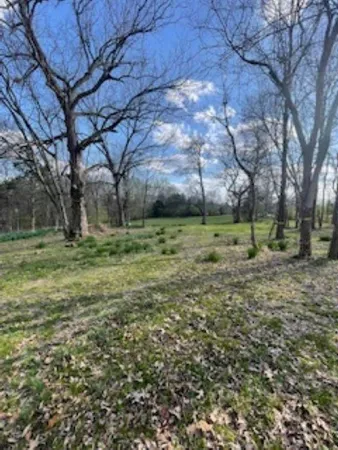 a view of outdoor space with trees all around