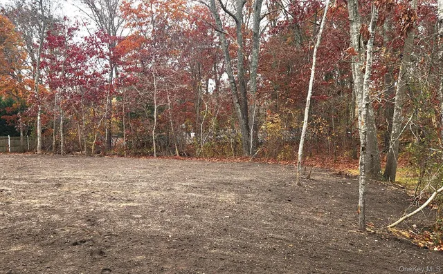 a backyard of a house with lots of tall trees