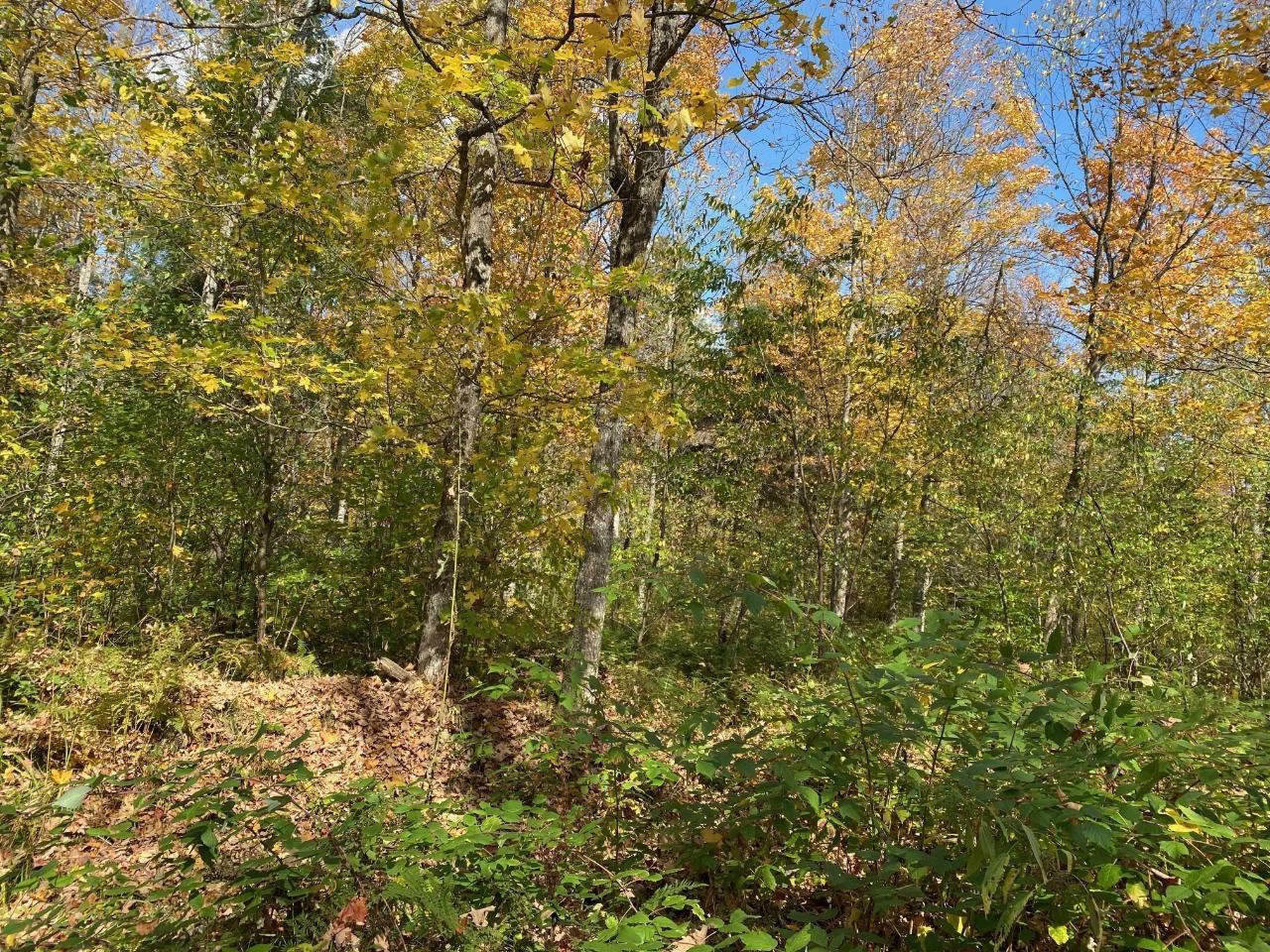 Off County Line Lake Road, Unit 39 ACRES Watersmeet, MI 49969 - Photo 2 of 5 Gallery Image 2