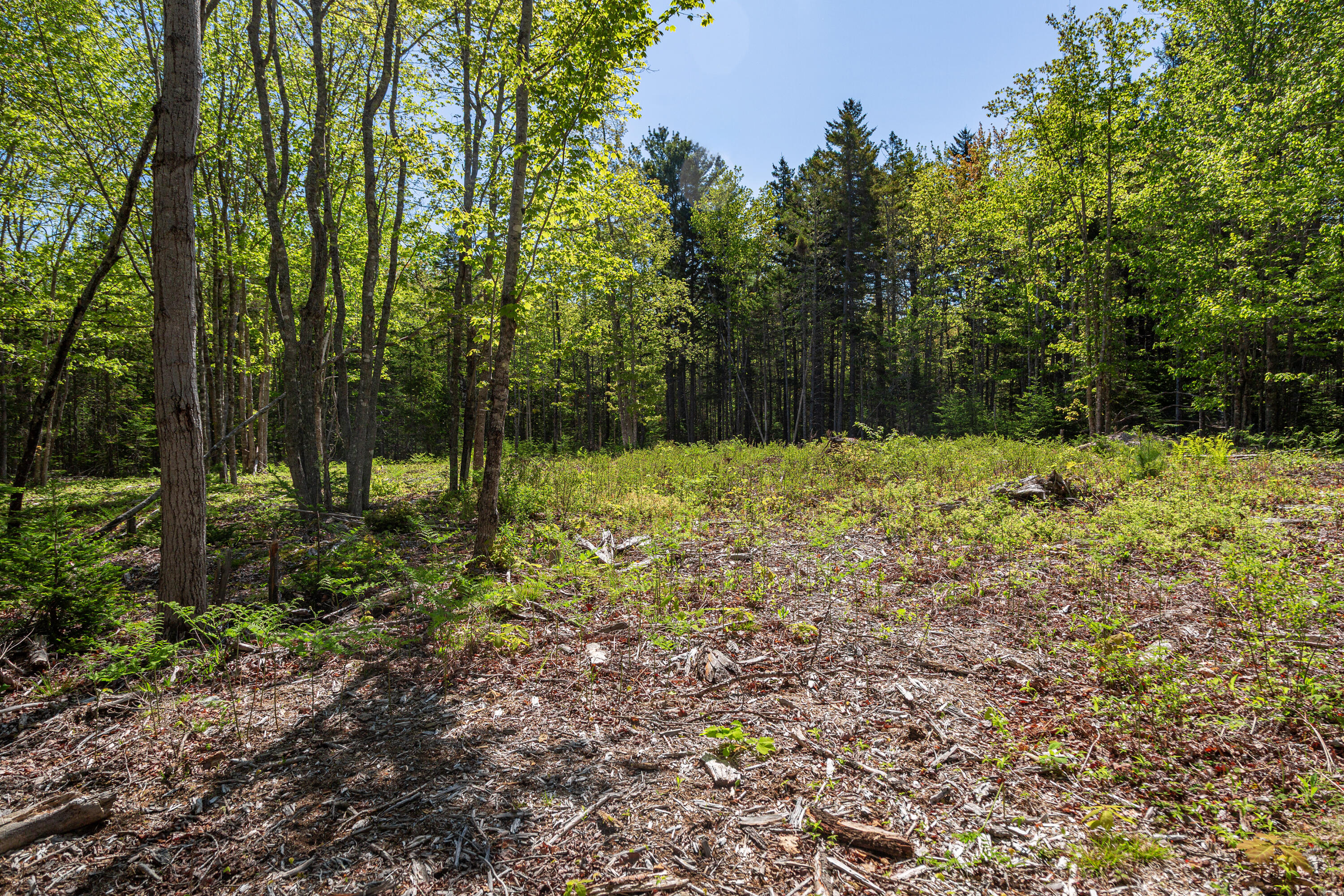 Lot 79-01 Knox Road Bar Harbor, ME 04609 - Photo 2 of 9 2