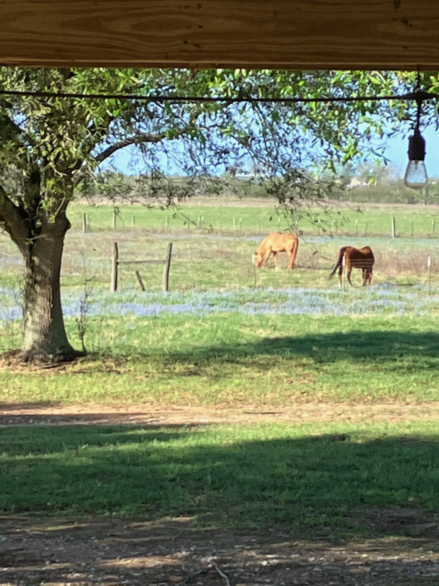 5848 Mieth Road Sealy, TX 77474 - Photo 25 of 25
