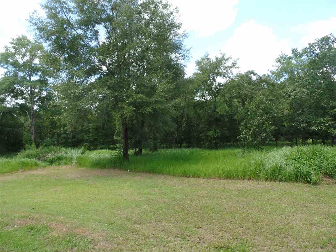 Xxx Rose Road Tallahassee, FL 32311 - Photo 3 of 3 Gallery Image 3