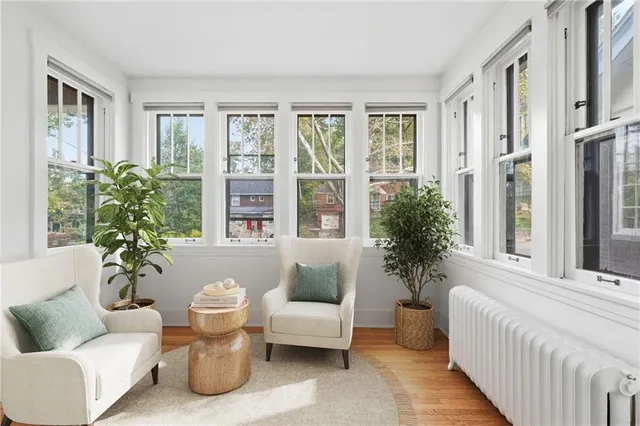 a living room with furniture and a potted plant