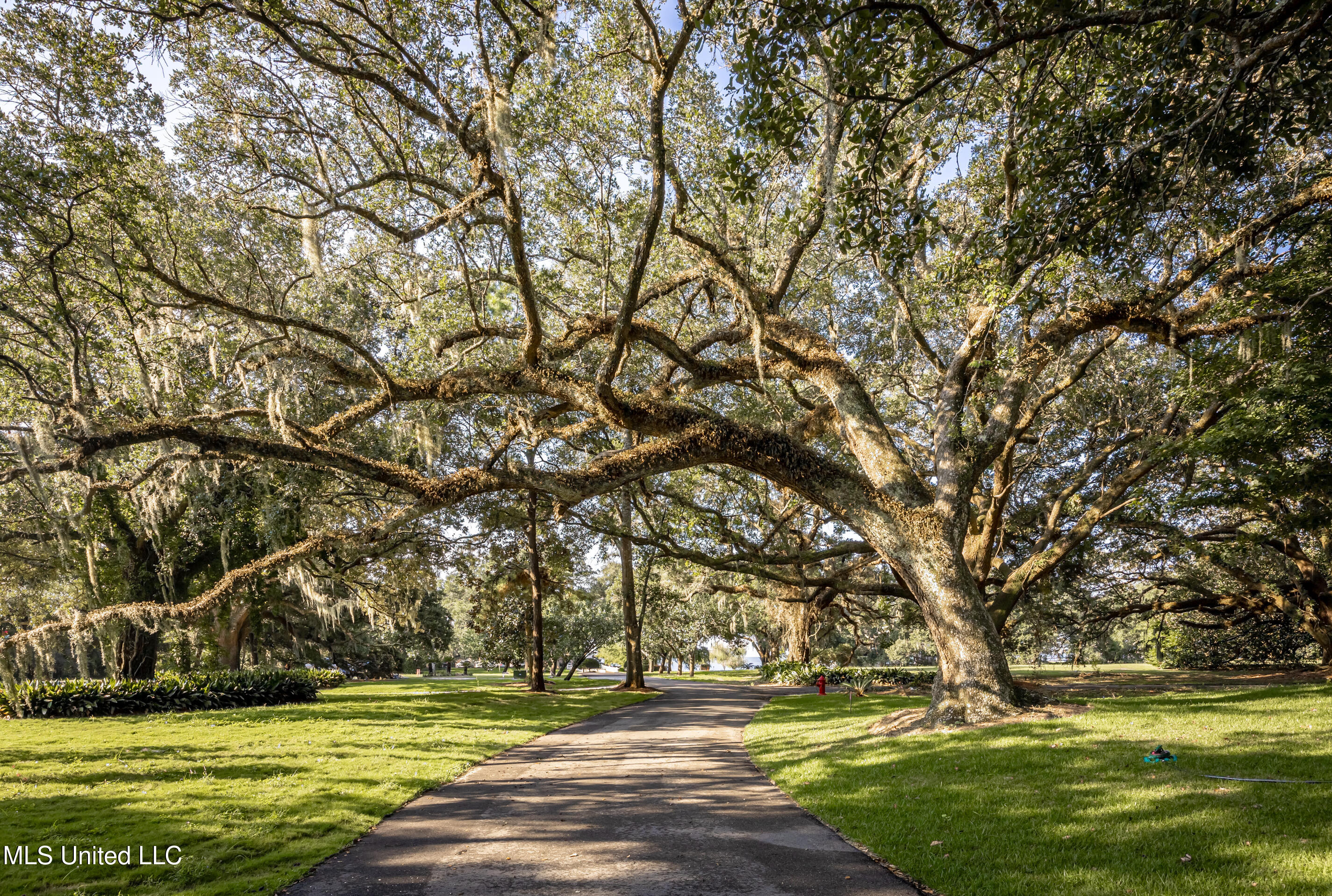 Lot 4 Pointe Aux Chenes Road Ocean Springs, MS 39564 - Photo 13 of 19 IMG_7422