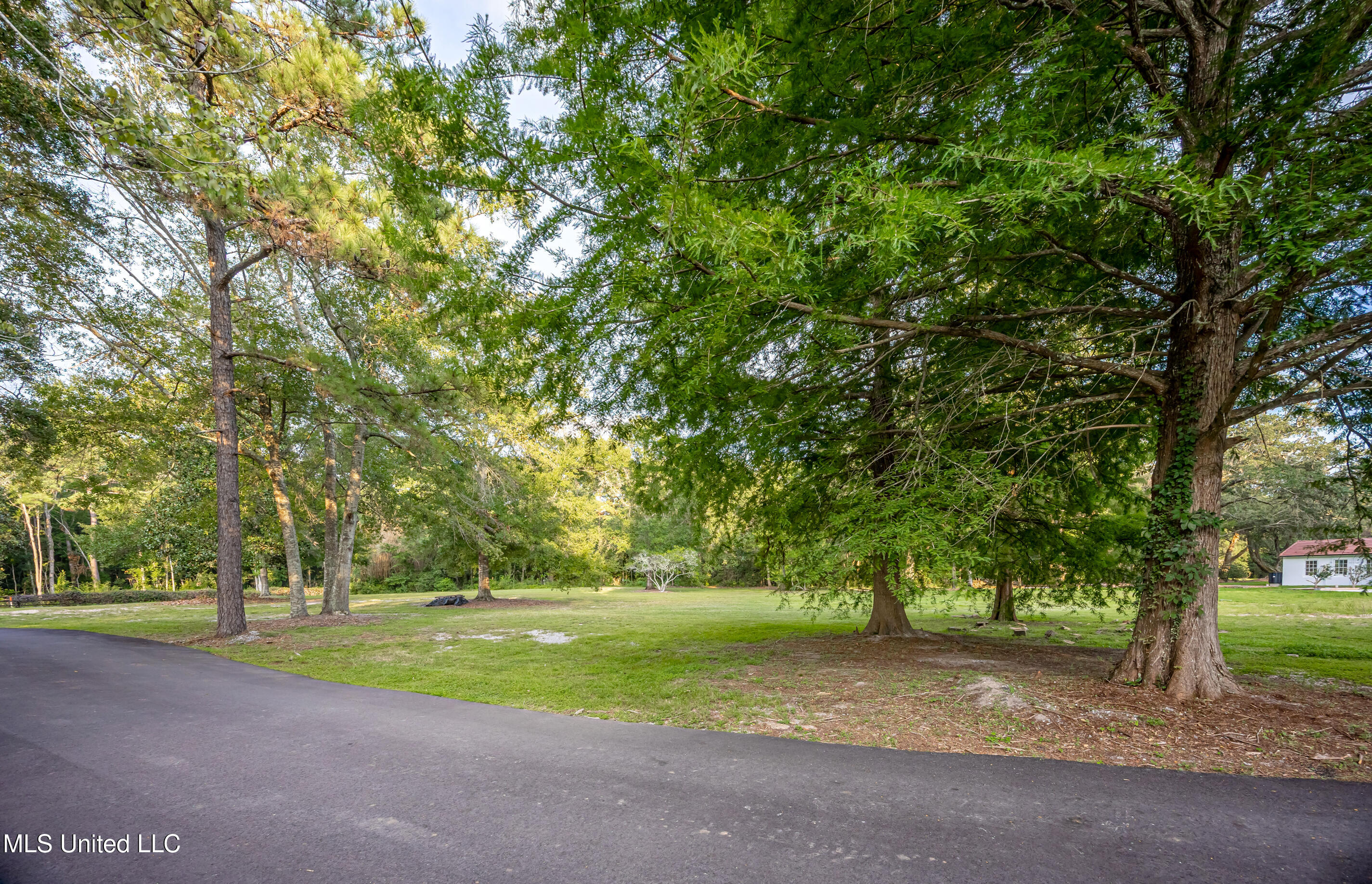 Lot 4 Pointe Aux Chenes Road Ocean Springs, MS 39564 - Photo 2 of 19 5F5A5377-2