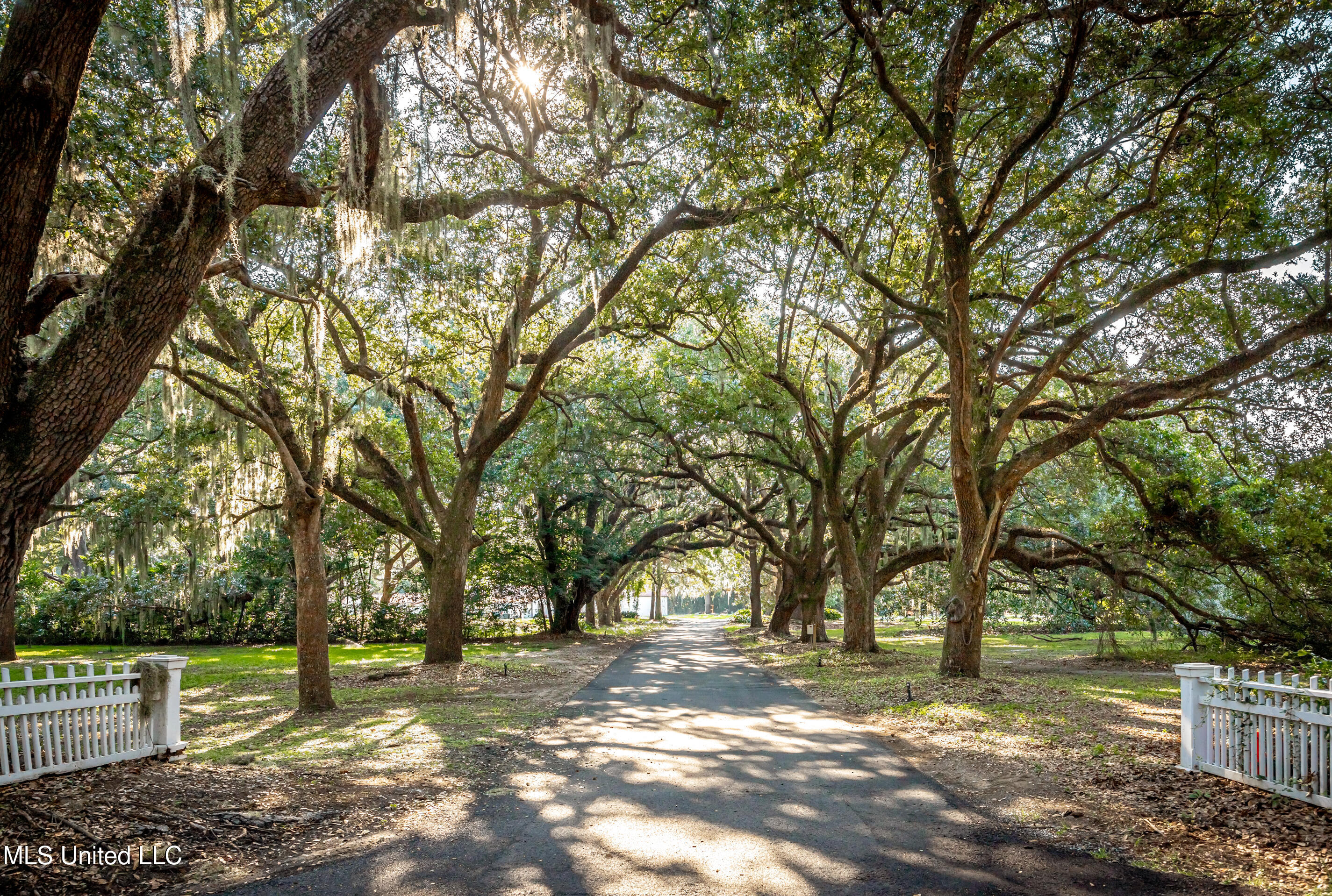 Lot 4 Pointe Aux Chenes Road Ocean Springs, MS 39564 - Photo 10 of 19 IMG_7308