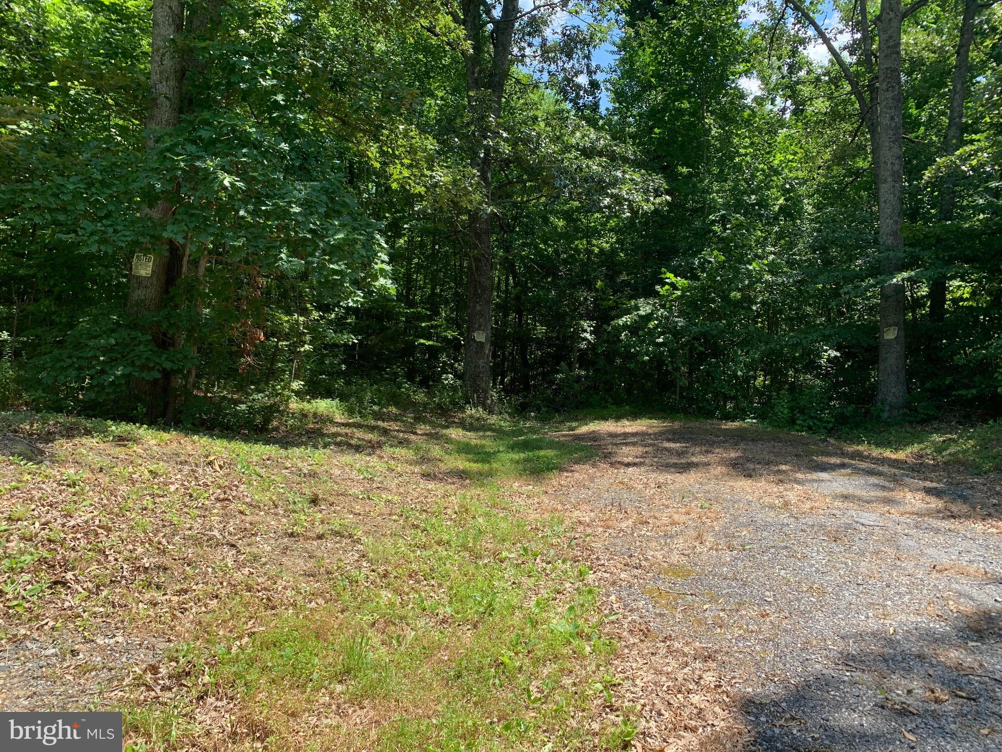 Leeland Road Fredericksburg, VA 22405 - Photo 2 of 6