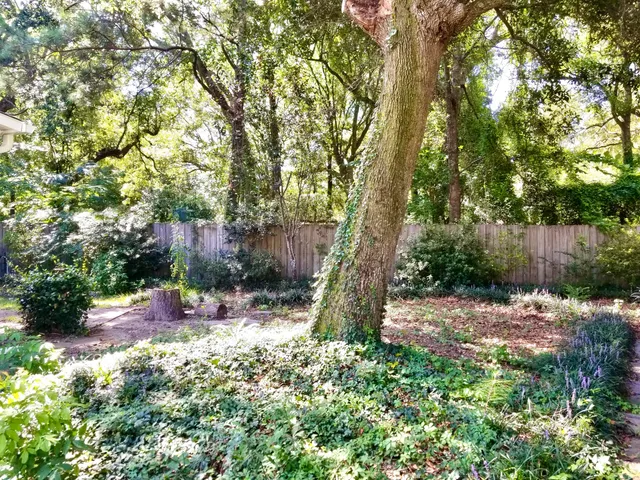 $3,300 | 1269 Center Lake Drive, Mount Pleasant, SC 29464