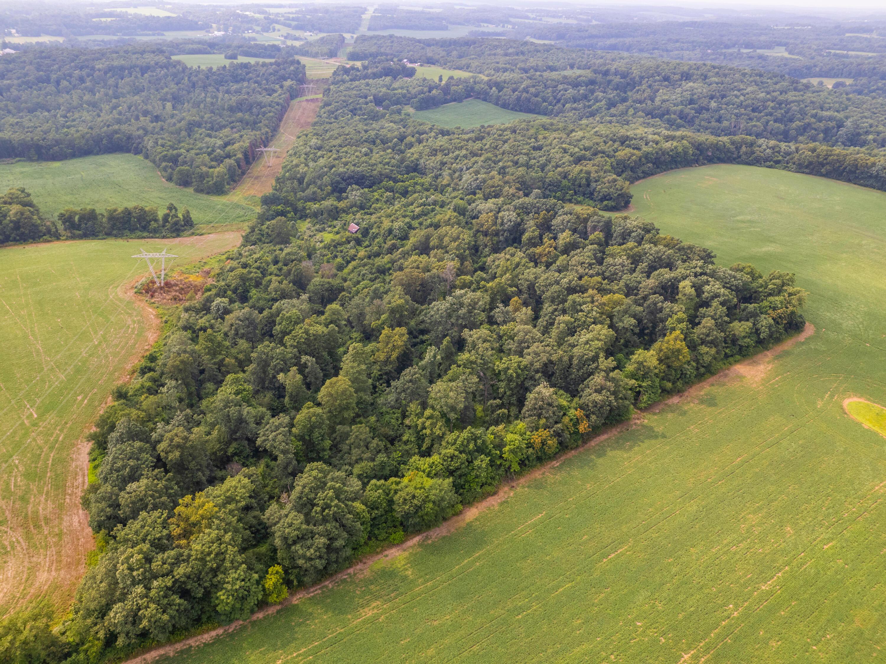 12600 Gilchrist Road Mount Vernon, OH 43050 - Photo 25 of 64 perkins-PRINT_52