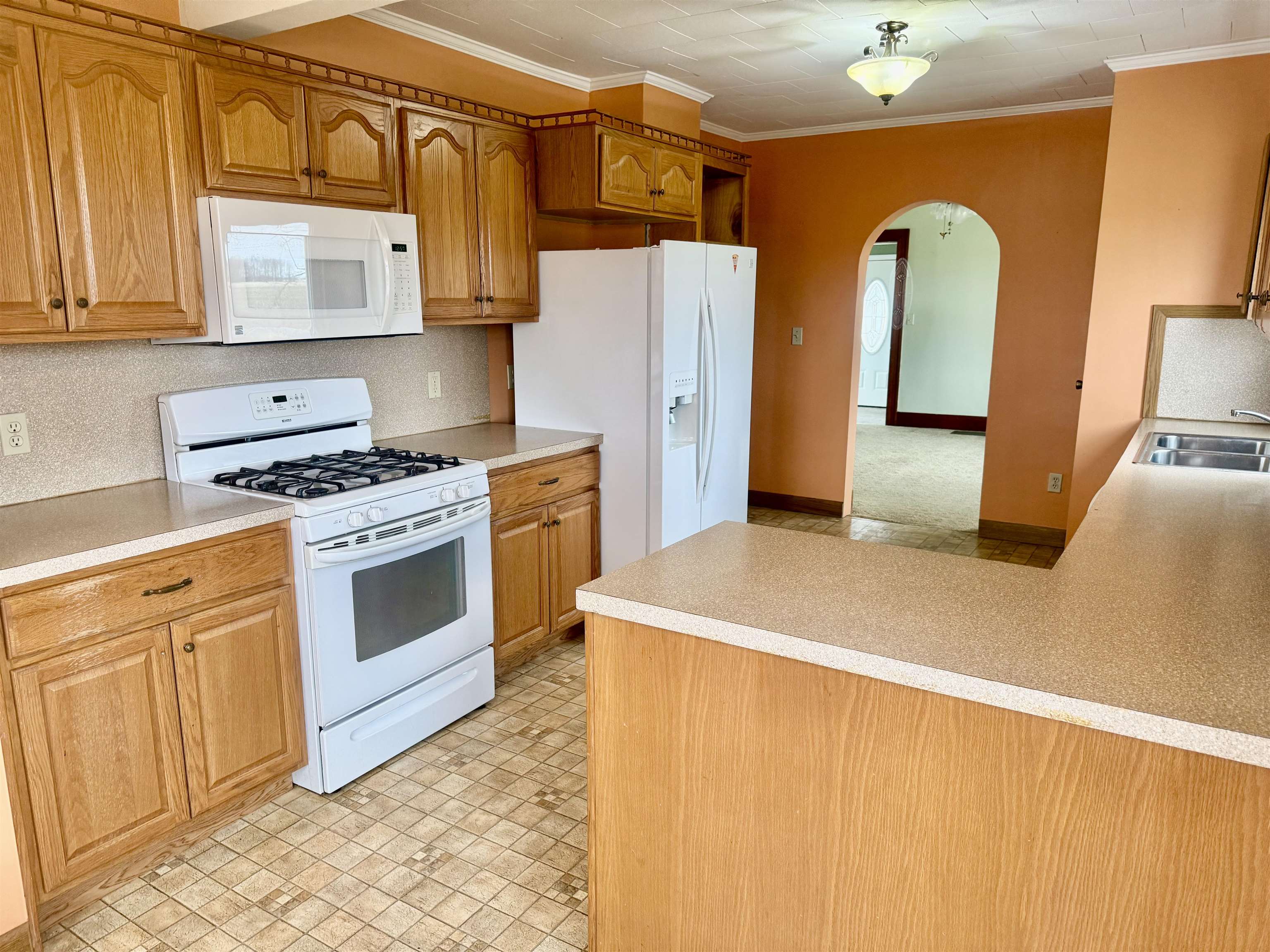 4790 East Tyler Road Ithaca, MI 48847 - Photo 30 of 74