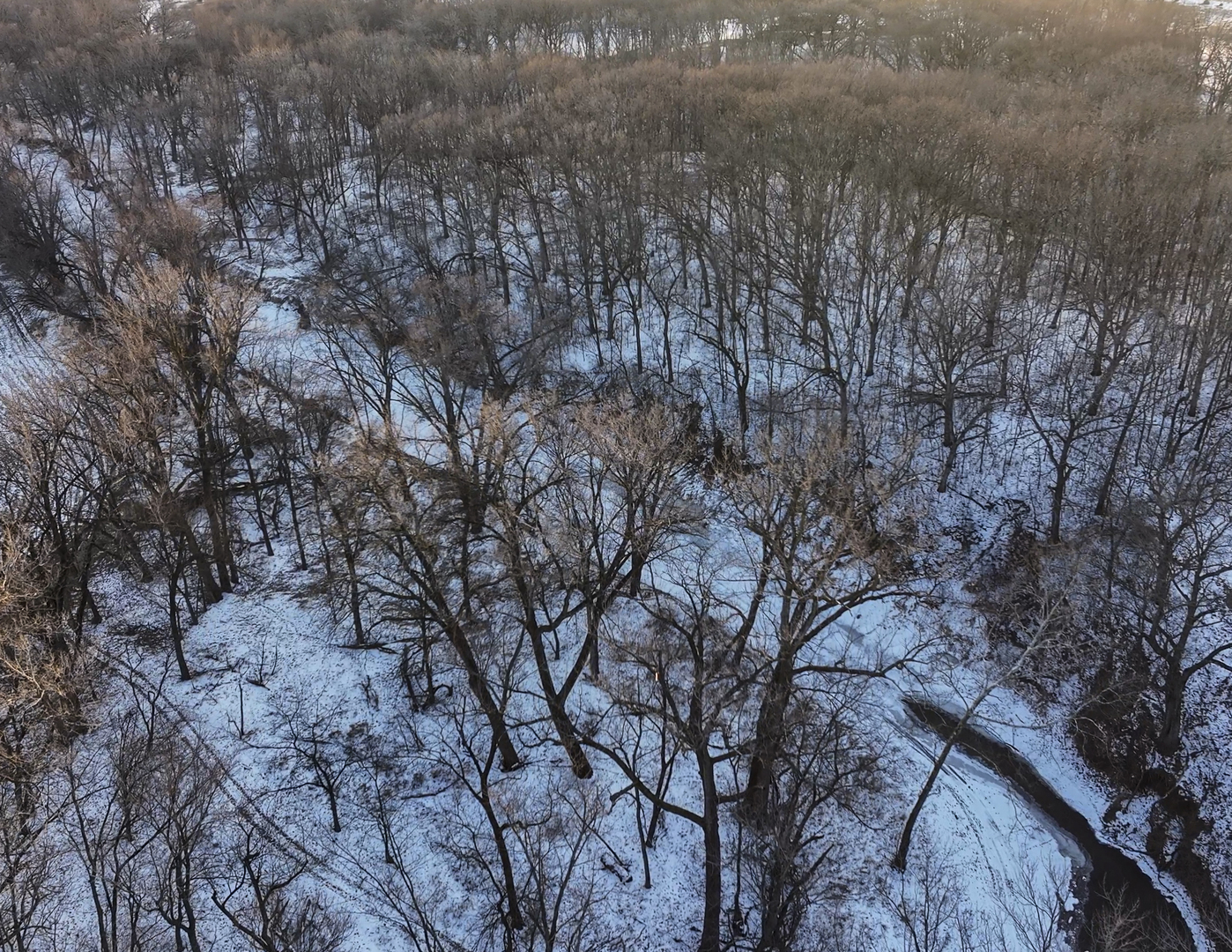 0 Highway 24 Secor, IL 61771 - Photo 14 of 44