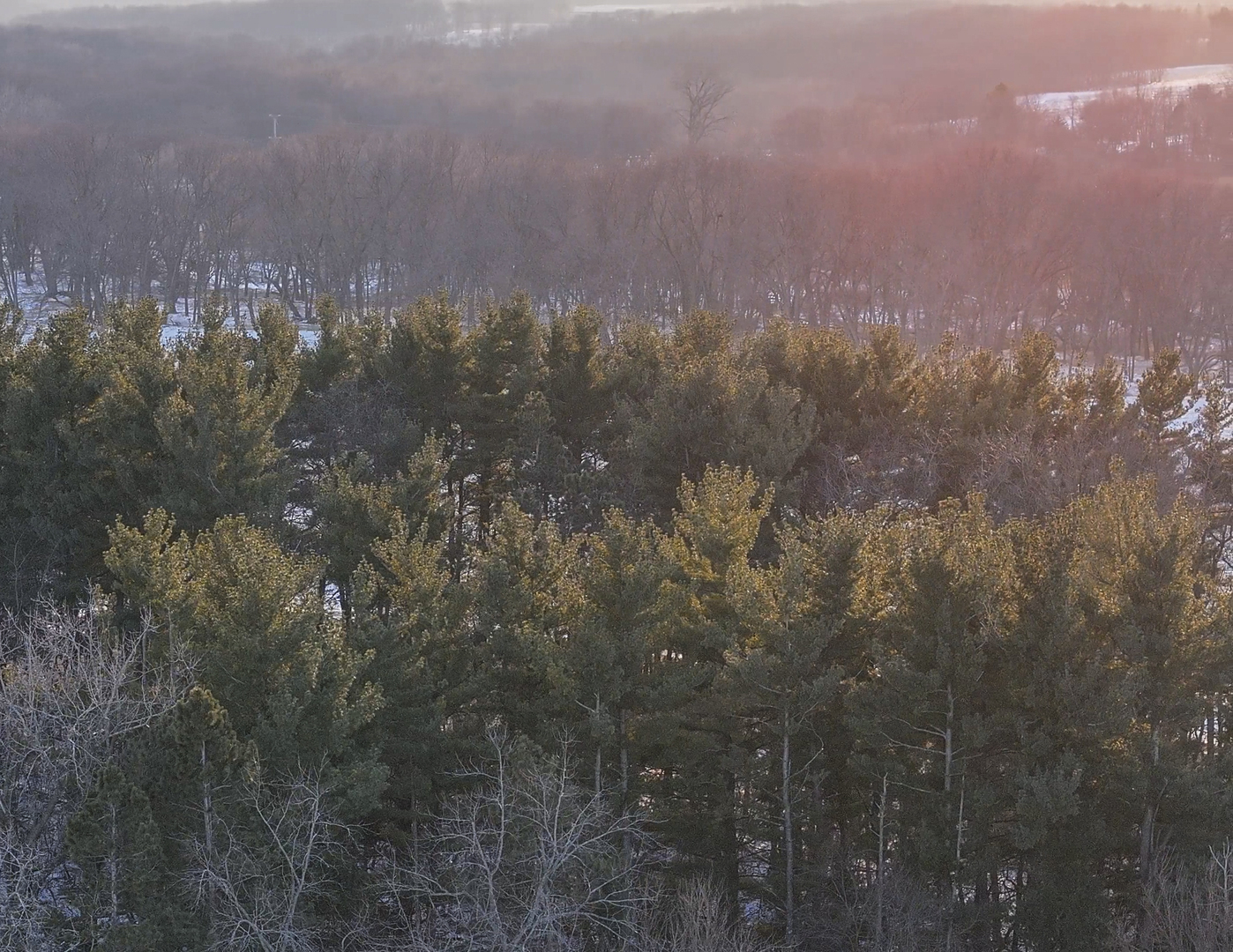 0 Highway 24 Secor, IL 61771 - Photo 18 of 44