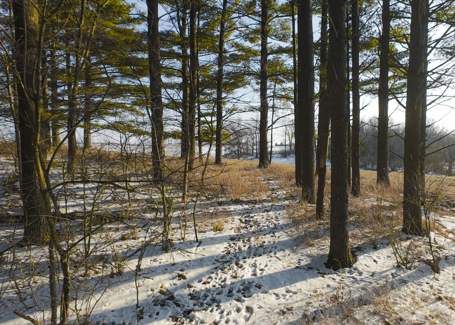 0 Highway 24 Secor, IL 61771 - Photo 21 of 44