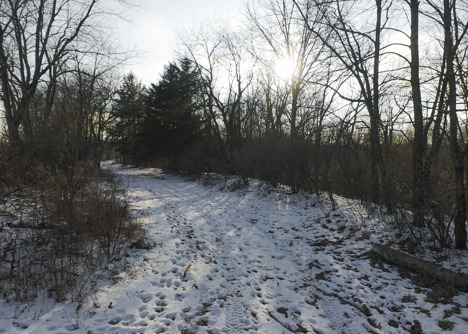 0 Highway 24 Secor, IL 61771 - Photo 22 of 44