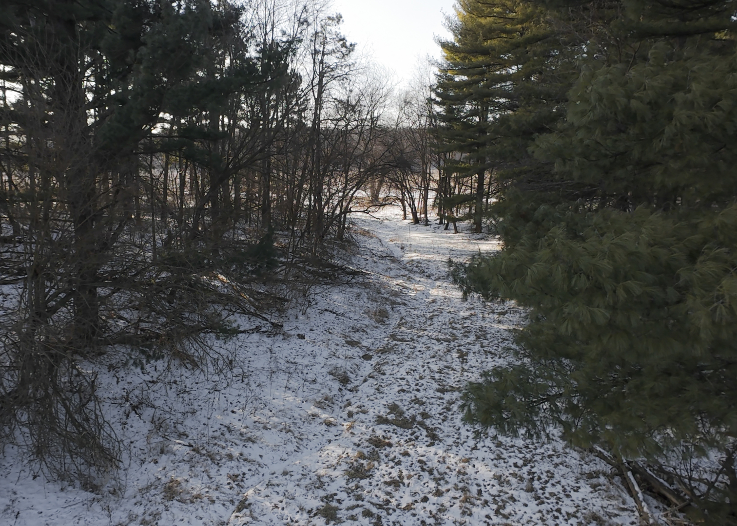 0 Highway 24 Secor, IL 61771 - Photo 24 of 44