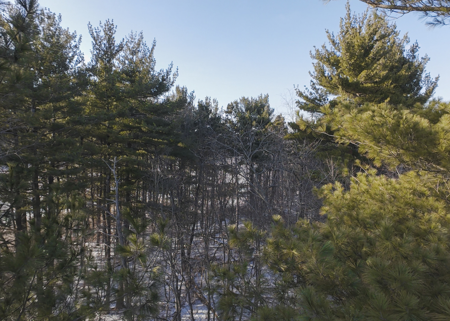 0 Highway 24 Secor, IL 61771 - Photo 25 of 44