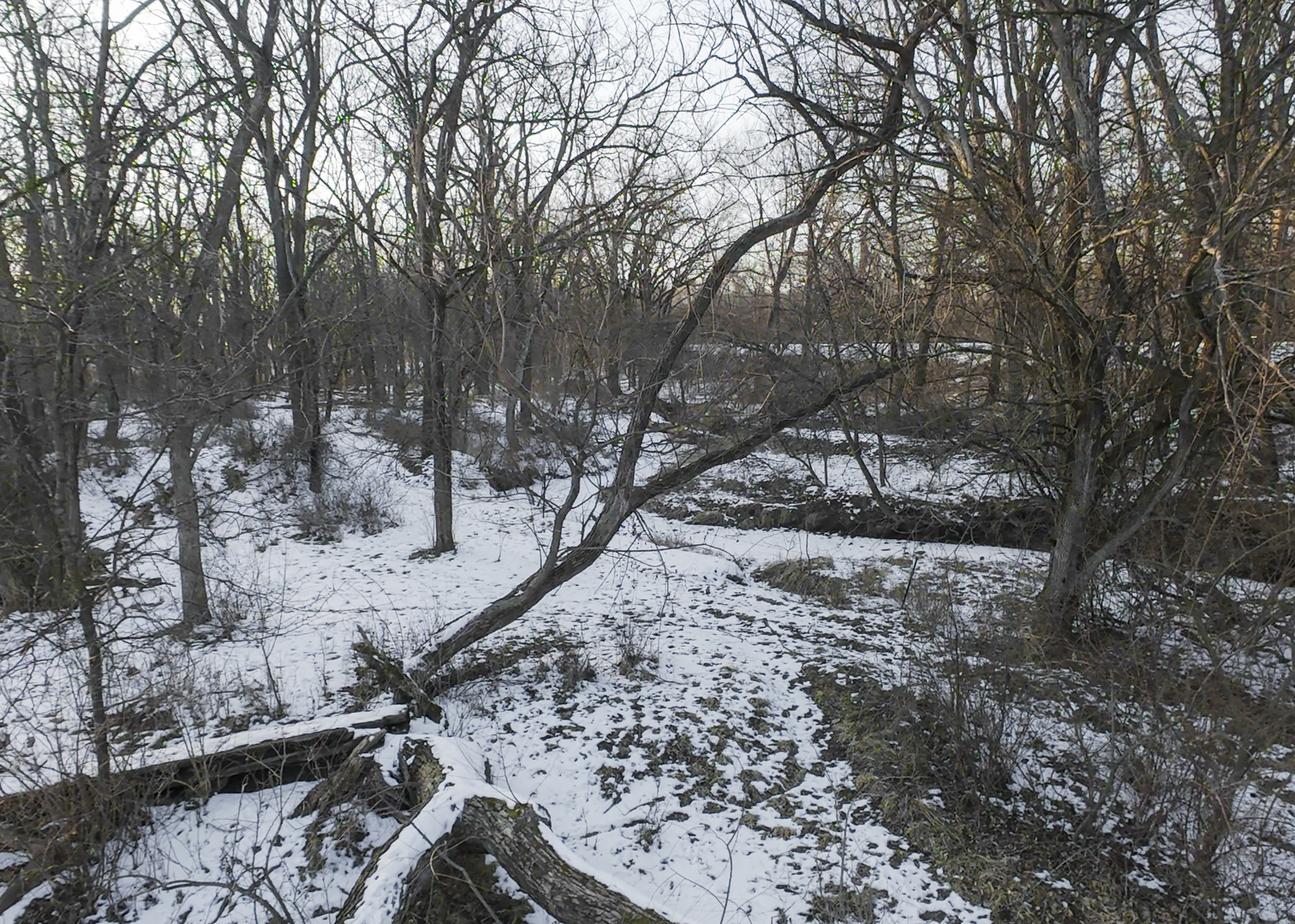 0 Highway 24 Secor, IL 61771 - Photo 32 of 44