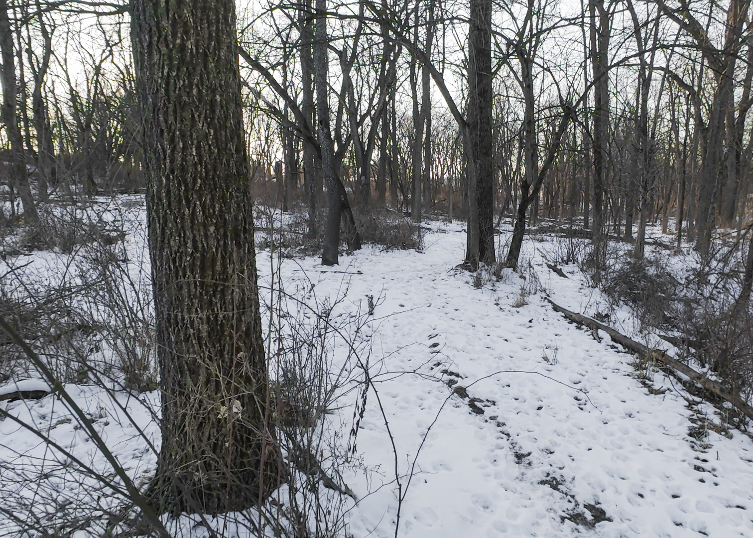 0 Highway 24 Secor, IL 61771 - Photo 33 of 44