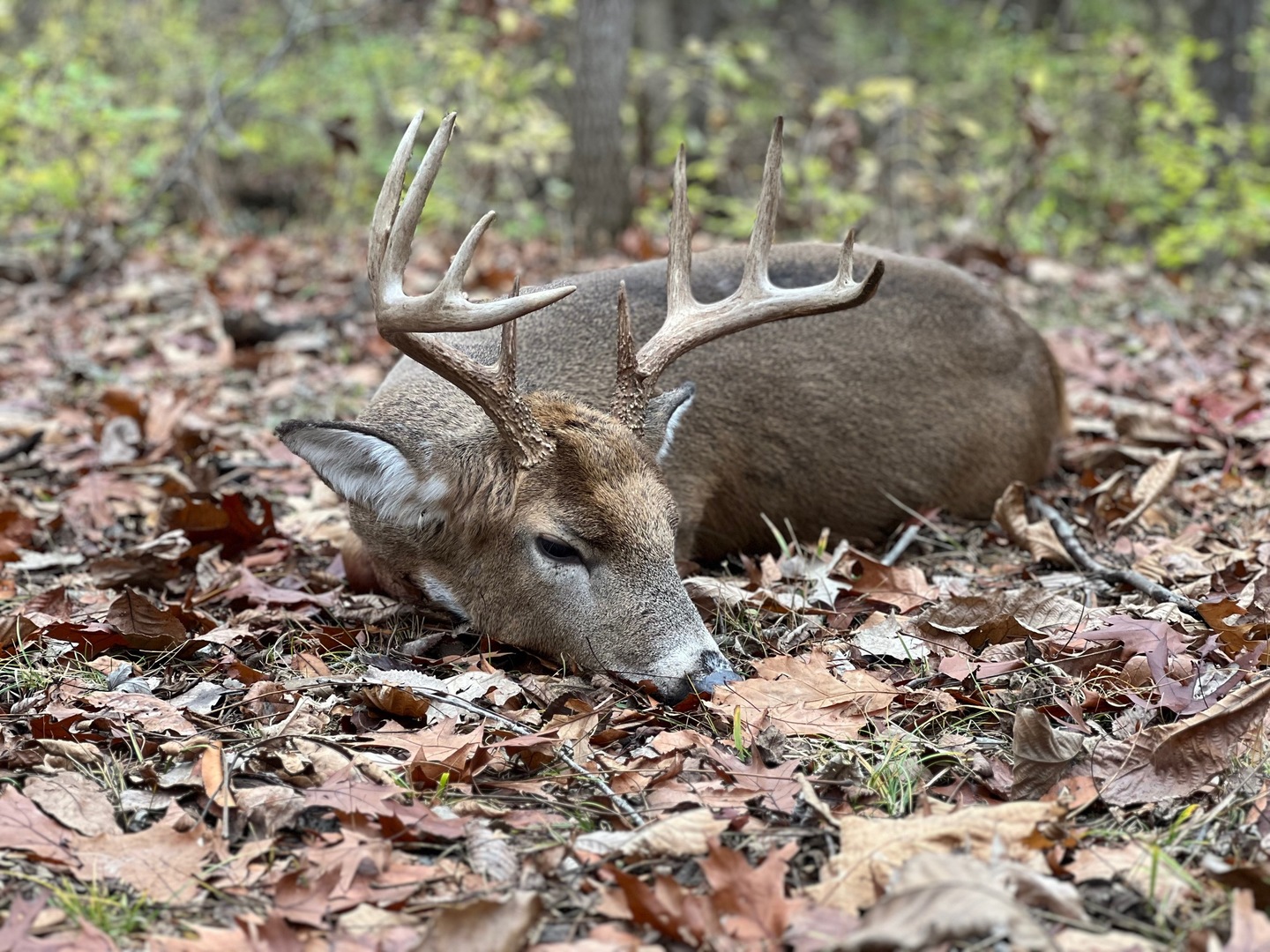 0 Highway 24 Secor, IL 61771 - Photo 35 of 44