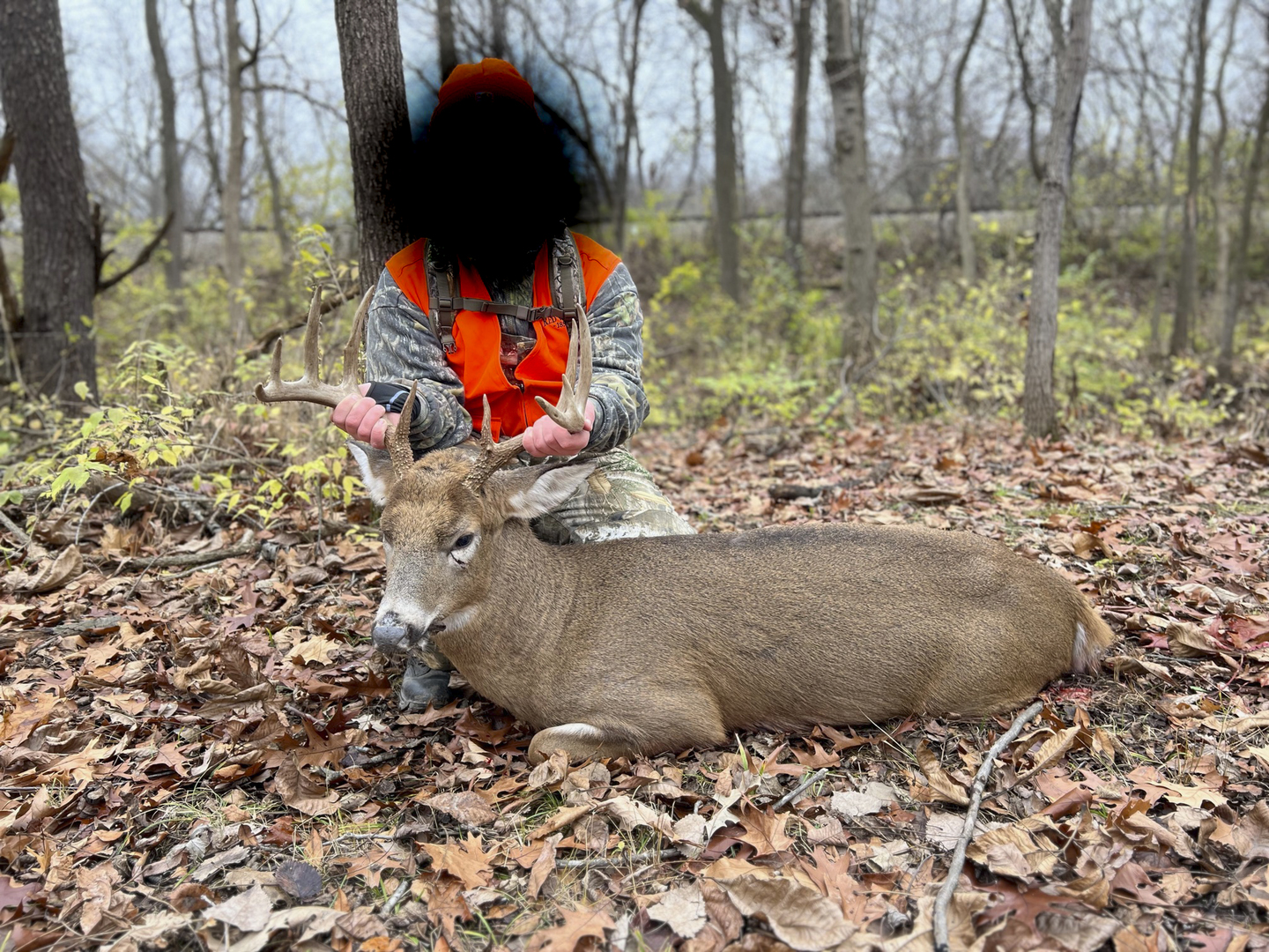 0 Highway 24 Secor, IL 61771 - Photo 36 of 44