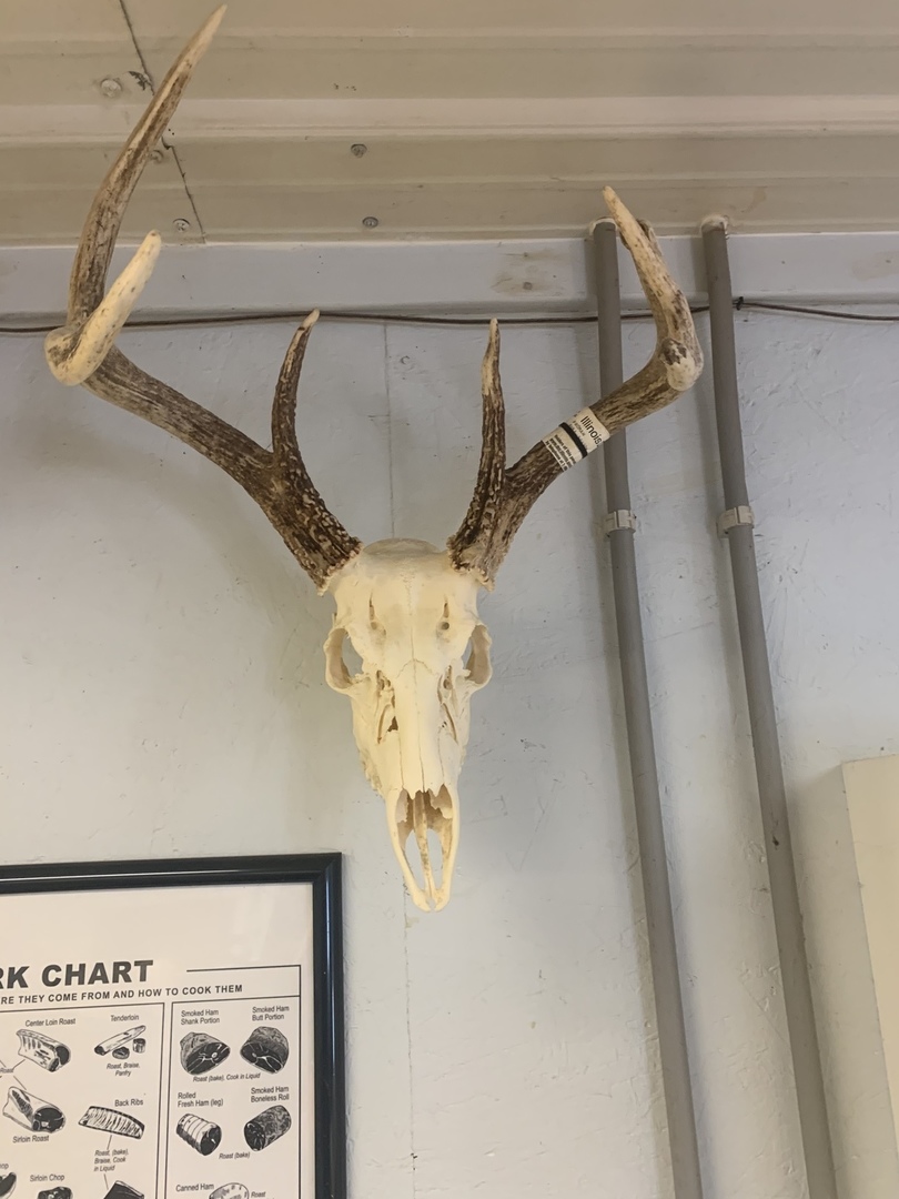 0 Highway 24 Secor, IL 61771 - Photo 37 of 44