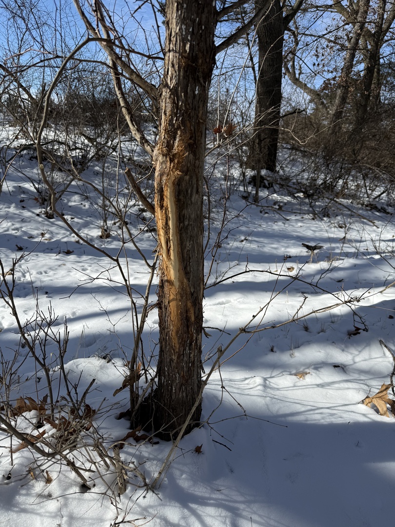 0 Highway 24 Secor, IL 61771 - Photo 38 of 44