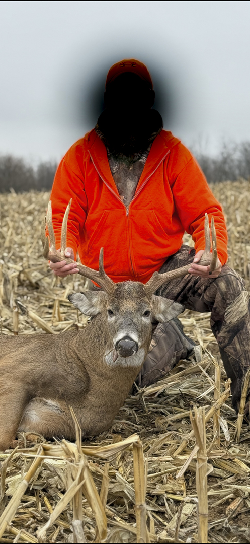 0 Highway 24 Secor, IL 61771 - Photo 39 of 44