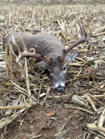 $2,030,520 | 0 Highway 24, Secor, IL 61771