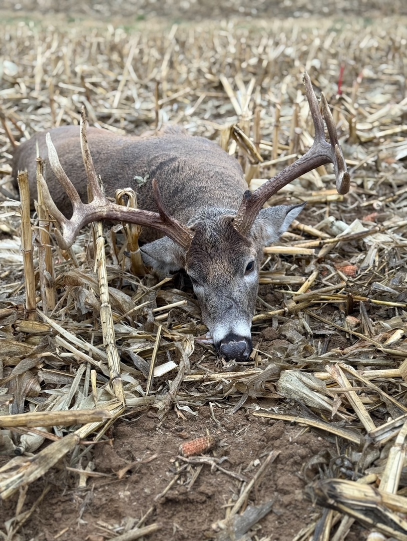 0 Highway 24 Secor, IL 61771 - Photo 40 of 44