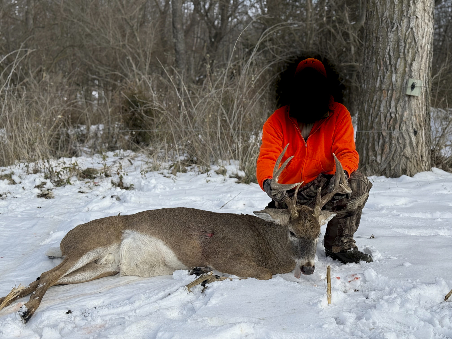 0 Highway 24 Secor, IL 61771 - Photo 41 of 44