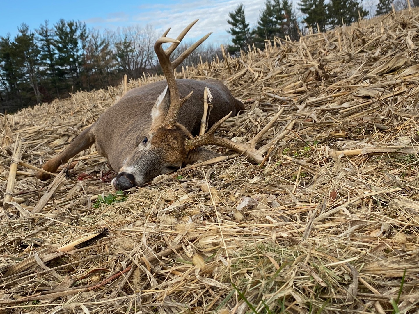 0 Highway 24 Secor, IL 61771 - Photo 44 of 44