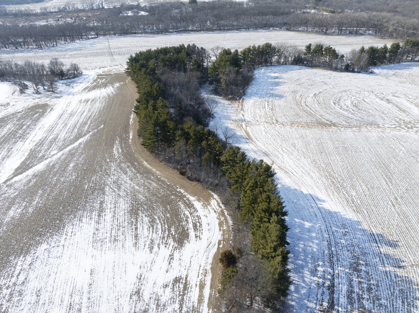 0 Highway 24 Secor, IL 61771 - Photo 6 of 44