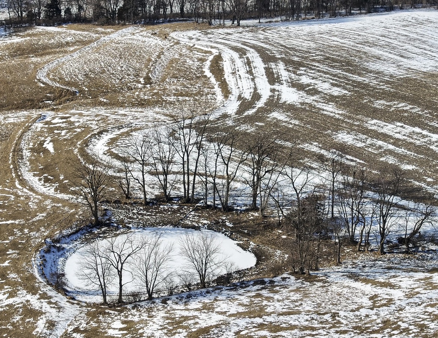 0 Highway 24 Secor, IL 61771 - Photo 9 of 44