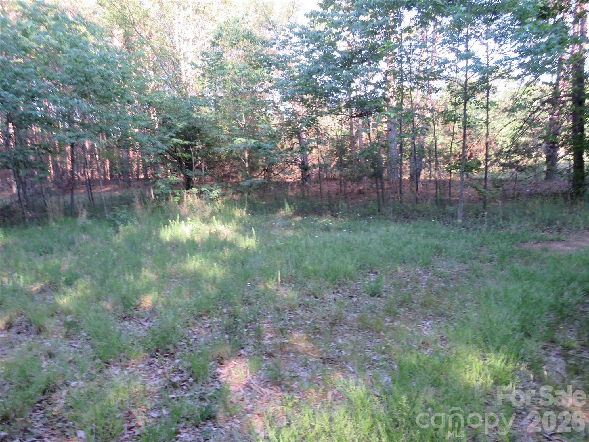 262 Flat Rock Road Forest City, NC 28043 - Photo 35 of 41