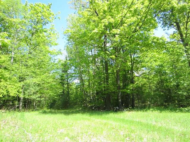 3697 Popko Circle East Mercer, WI 54547 - Photo 8 of 13 Gallery Image 8