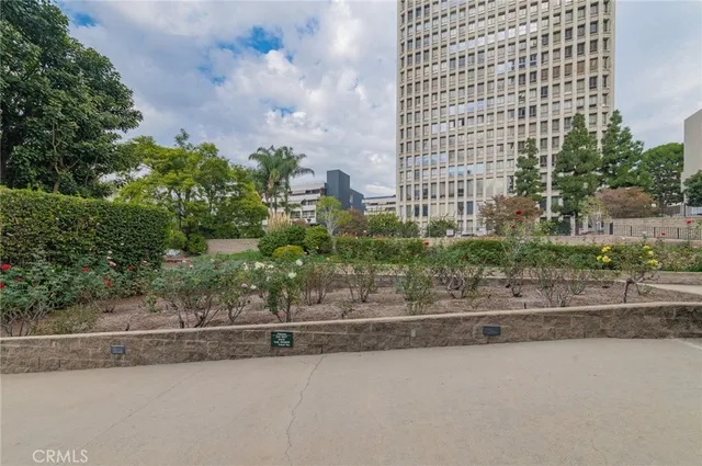 a plant in front of a door